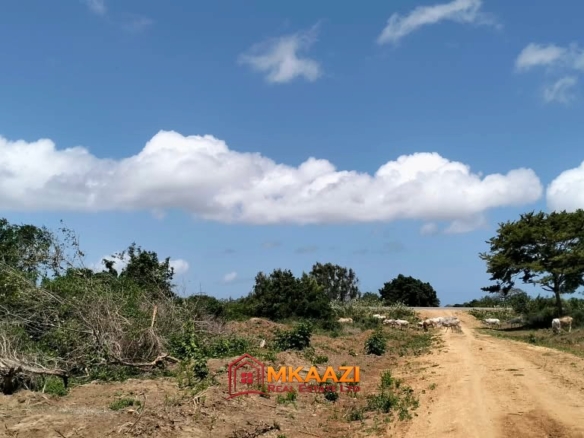 Prime 10 Acres for Sale Along the LAPSSET Road in Bora Imani, Hindi, Lamu – KSh 55 Million