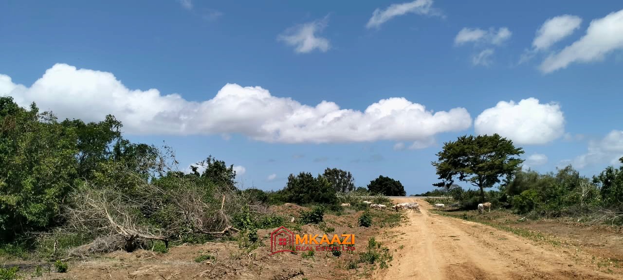 10 Acres lamu (2) Prime 10 Acres for Sale Along the LAPSSET Road in Bora Imani, Hindi, Lamu – KSh 55 Million