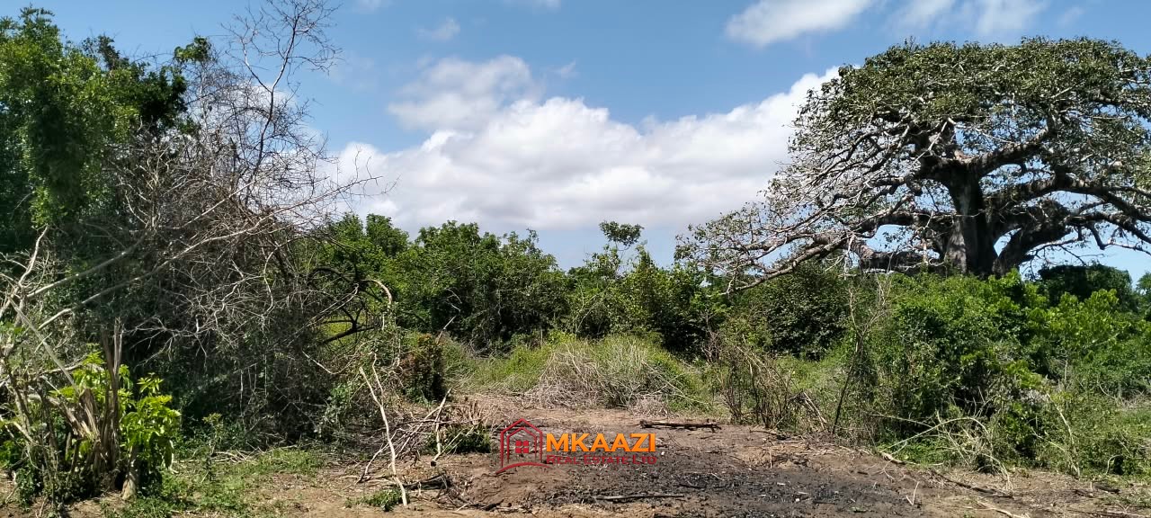 10 Acres lamu (3) Prime 10 Acres for Sale Along the LAPSSET Road in Bora Imani, Hindi, Lamu – KSh 55 Million