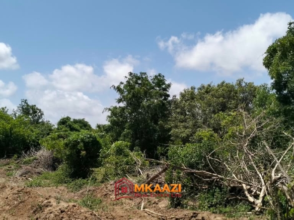 Prime 10 Acres for Sale Along the LAPSSET Road in Bora Imani, Hindi, Lamu – KSh 55 Million