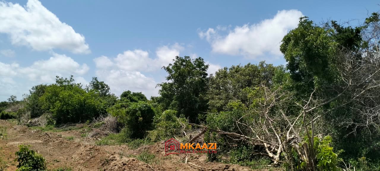10 Acres lamu (4) Prime 10 Acres for Sale Along the LAPSSET Road in Bora Imani, Hindi, Lamu – KSh 55 Million