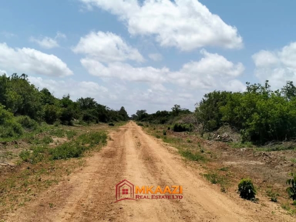 10 acres of land for sale in Bora Imani, Hindi Ward, Lamu County, along the LAPSSET road, featuring mature baobab trees.