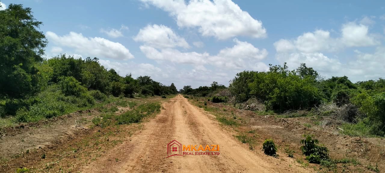 10 acres of land for sale in Bora Imani, Hindi Ward, Lamu County, along the LAPSSET road, featuring mature baobab trees.