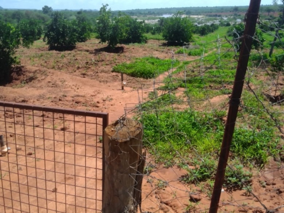 Prime Affordable 120-Acre Agricultural Land for Sale in Kiboko, Makueni County