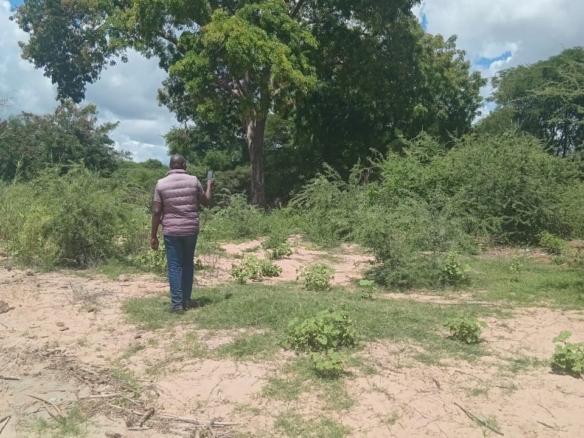Prime Affordable 120-Acre Agricultural Land for Sale in Kiboko, Makueni County