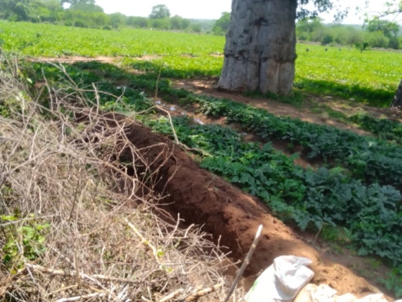 Prime Affordable 120-Acre Agricultural Land for Sale in Kiboko, Makueni County