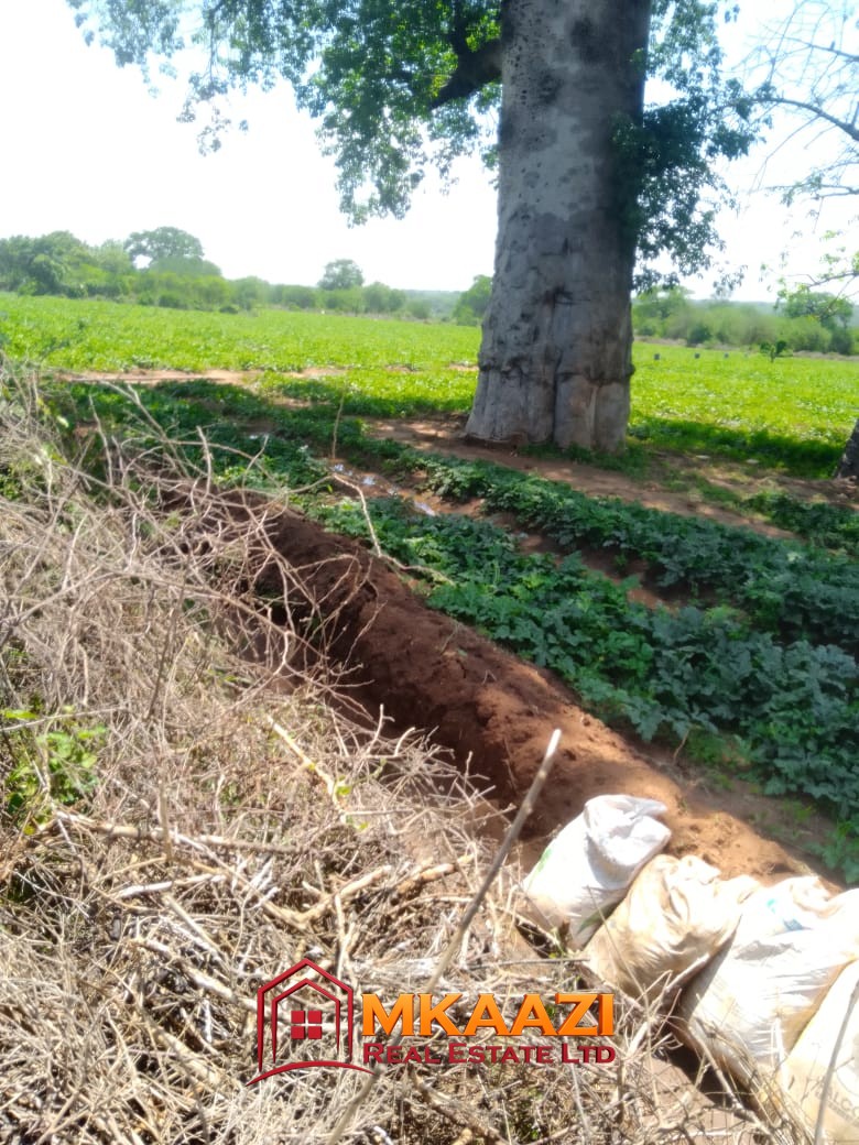 120 Acre (4) Prime Affordable 120-Acre Agricultural Land for Sale in Kiboko, Makueni County