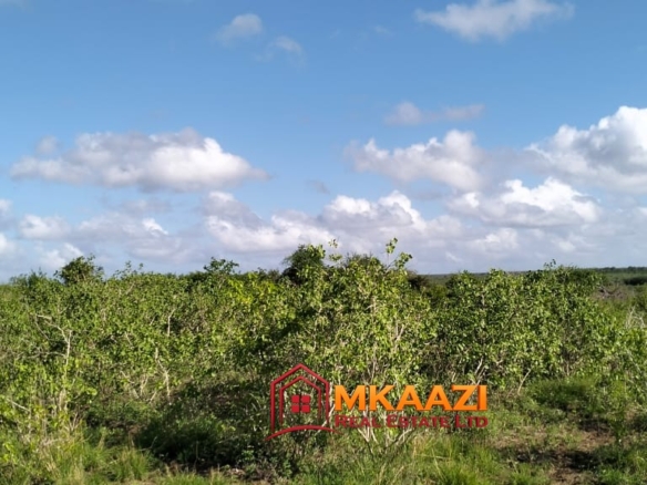 Affordable 13-Acre Agricultural Land for Sale in Kakoneni – KSh 165,000 Per Acre