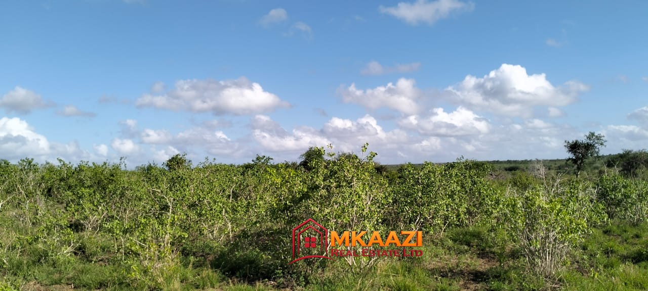 Affordable 13-Acre Agricultural Land for Sale in Kakoneni – KSh 165,000 Per Acre
