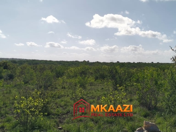 Affordable 13-Acre Agricultural Land for Sale in Kakoneni – KSh 165,000 Per Acre