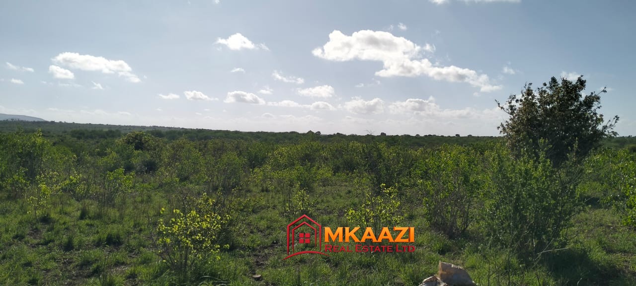 Affordable 13-Acre Agricultural Land for Sale in Kakoneni – KSh 165,000 Per Acre