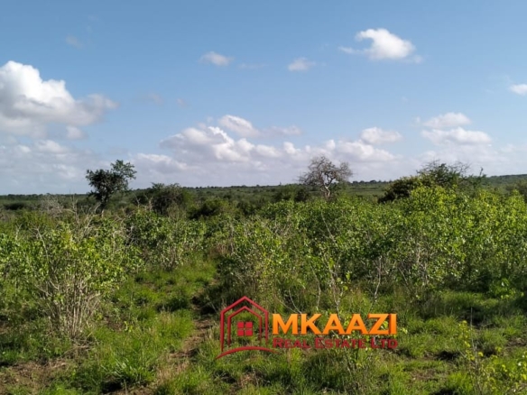 Affordable 13-Acre Agricultural Land for Sale in Kakoneni – KSh 165,000 Per Acre
