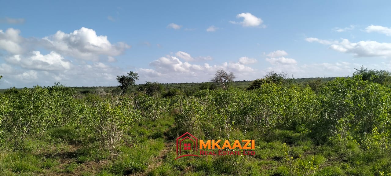 Affordable 13-Acre Agricultural Land for Sale in Kakoneni – KSh 165,000 Per Acre