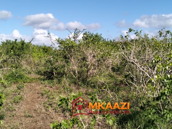 Affordable 13-Acre Agricultural Land for Sale in Kakoneni – KSh 165,000 Per Acre