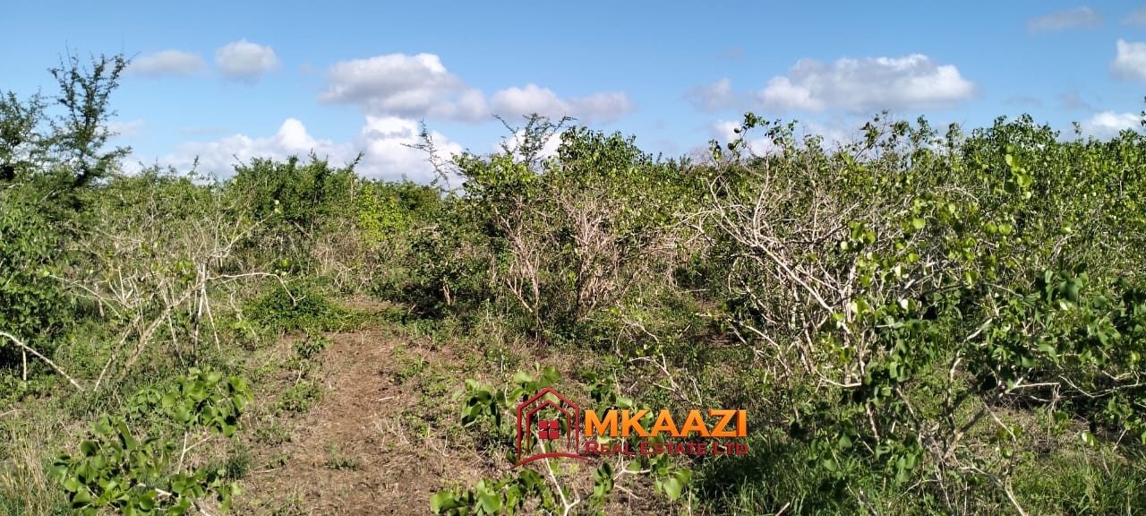Affordable 13-Acre Agricultural Land for Sale in Kakoneni – KSh 165,000 Per Acre