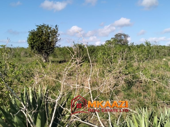 Affordable 13-Acre Agricultural Land for Sale in Kakoneni – KSh 165,000 Per Acre