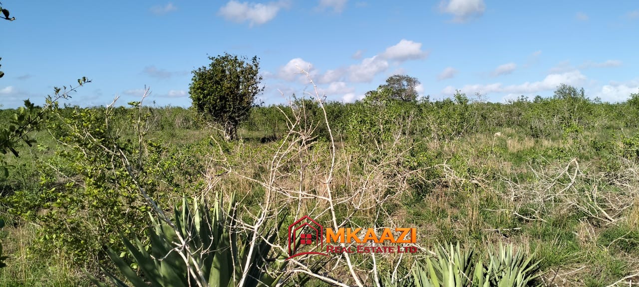 Affordable 13-Acre Agricultural Land for Sale in Kakoneni – KSh 165,000 Per Acre
