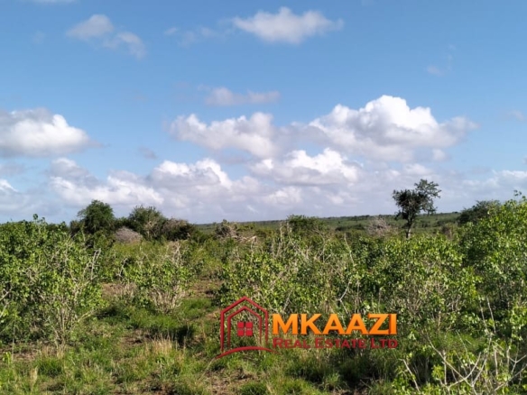 Affordable 13-Acre Agricultural Land for Sale in Kakoneni – KSh 165,000 Per Acre