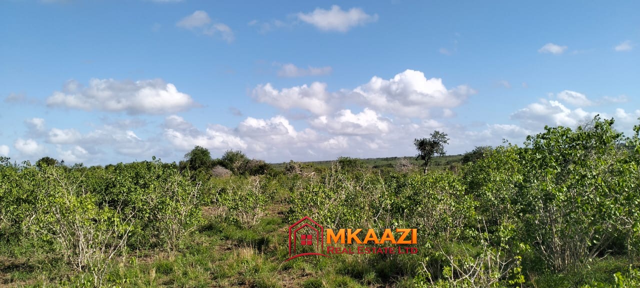 Affordable 13-Acre Agricultural Land for Sale in Kakoneni – KSh 165,000 Per Acre