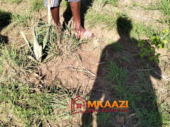 Affordable 13-Acre Agricultural Land for Sale in Kakoneni – KSh 165,000 Per Acre