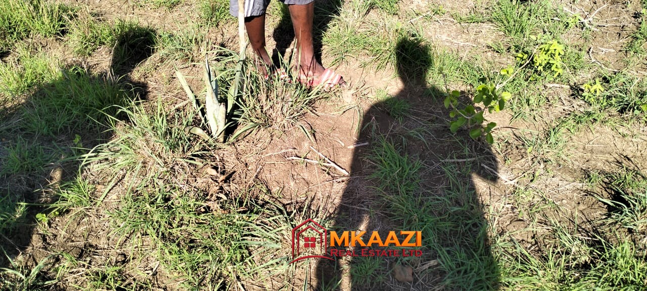 Affordable 13-Acre Agricultural Land for Sale in Kakoneni – KSh 165,000 Per Acre