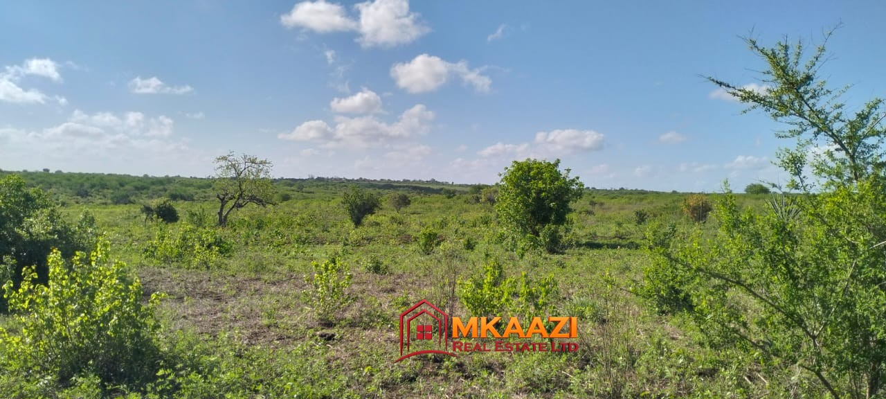 13-acre agricultural land for sale in Kakoneni Kilifi County