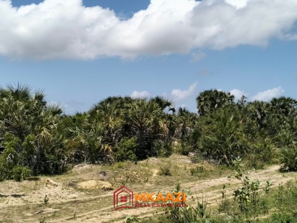 Prime 2 Acres of Commercial Land for Sale In Bora Imani Near Lamu Port – E885, Bora Imani