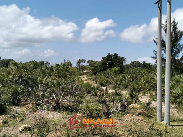 Prime 2 Acres of Commercial Land for Sale In Bora Imani Near Lamu Port – E885, Bora Imani