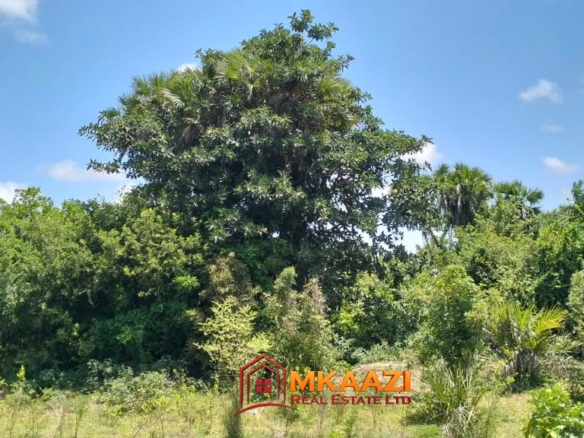 2 Acres of Land for Sale in Bora Imani, Hindi, Lamu County – Dual Carriageway Frontage