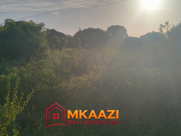 2-Acre Plot for Sale on Malindi Road, Msabaha – KES 6.5M Per Acre | Freehold Title