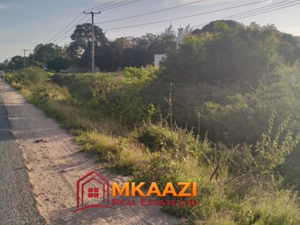 2-acre plot for sale on Malindi Road, Msabaha with tarmac frontage, mature trees, power on site and freehold title