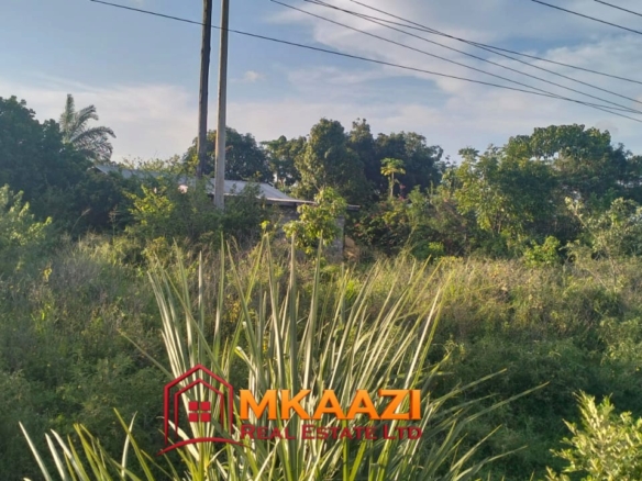 2-Acre Plot for Sale on Malindi Road, Msabaha – KES 6.5M Per Acre | Freehold Title