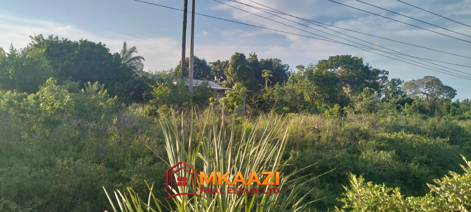 2-Acre Plot for Sale on Malindi Road, Msabaha – KES 6.5M Per Acre | Freehold Title