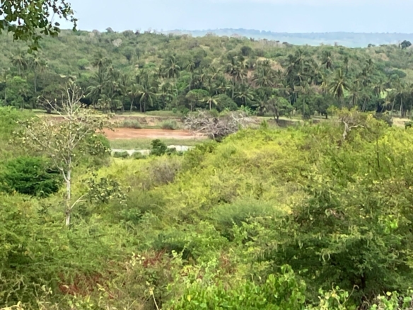 Prime 25-Acre Riverfront Property for Sale in Malindi – KSh 3.5M/Acre