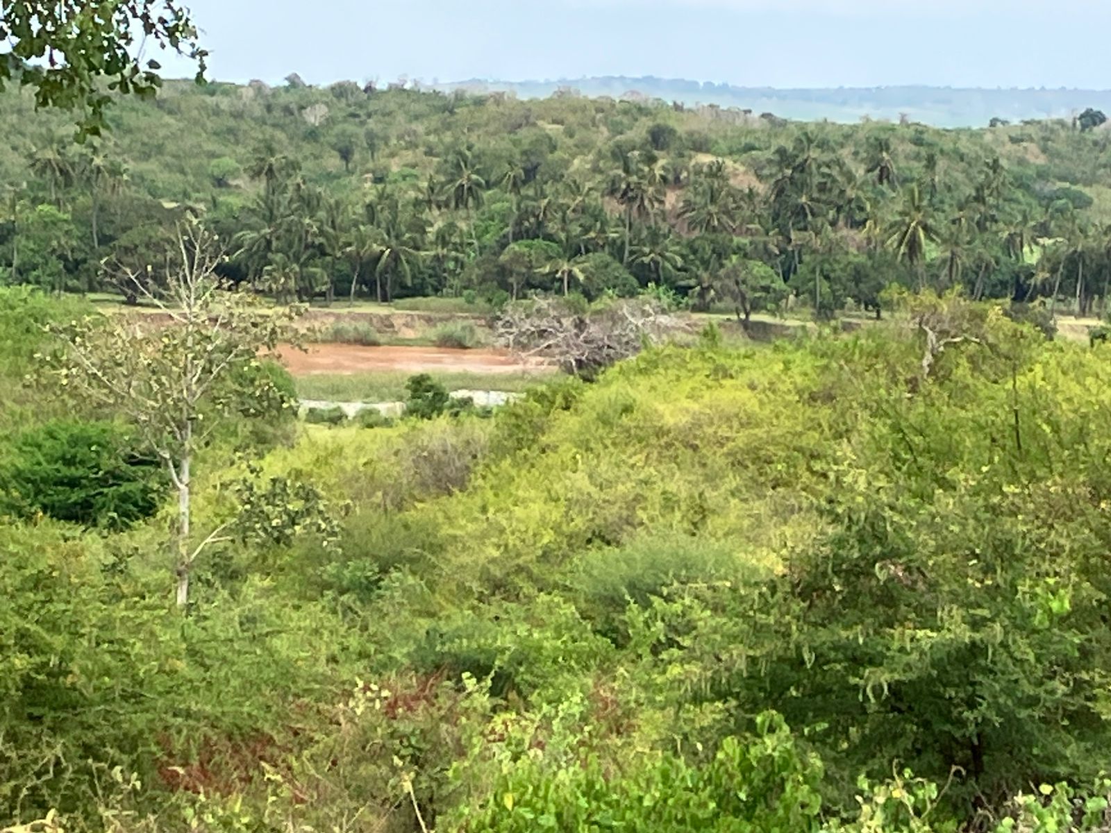 Prime 25-Acre Riverfront Property for Sale in Malindi – KSh 3.5M/Acre