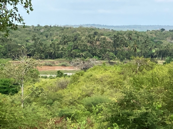 Prime 25-Acre Riverfront Property for Sale in Malindi – KSh 3.5M/Acre