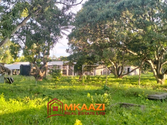 3-acre farm for sale on Malindi Road in Msabaha with chicken structures, farmhouse, four DSQs, borehole and tarmac frontage