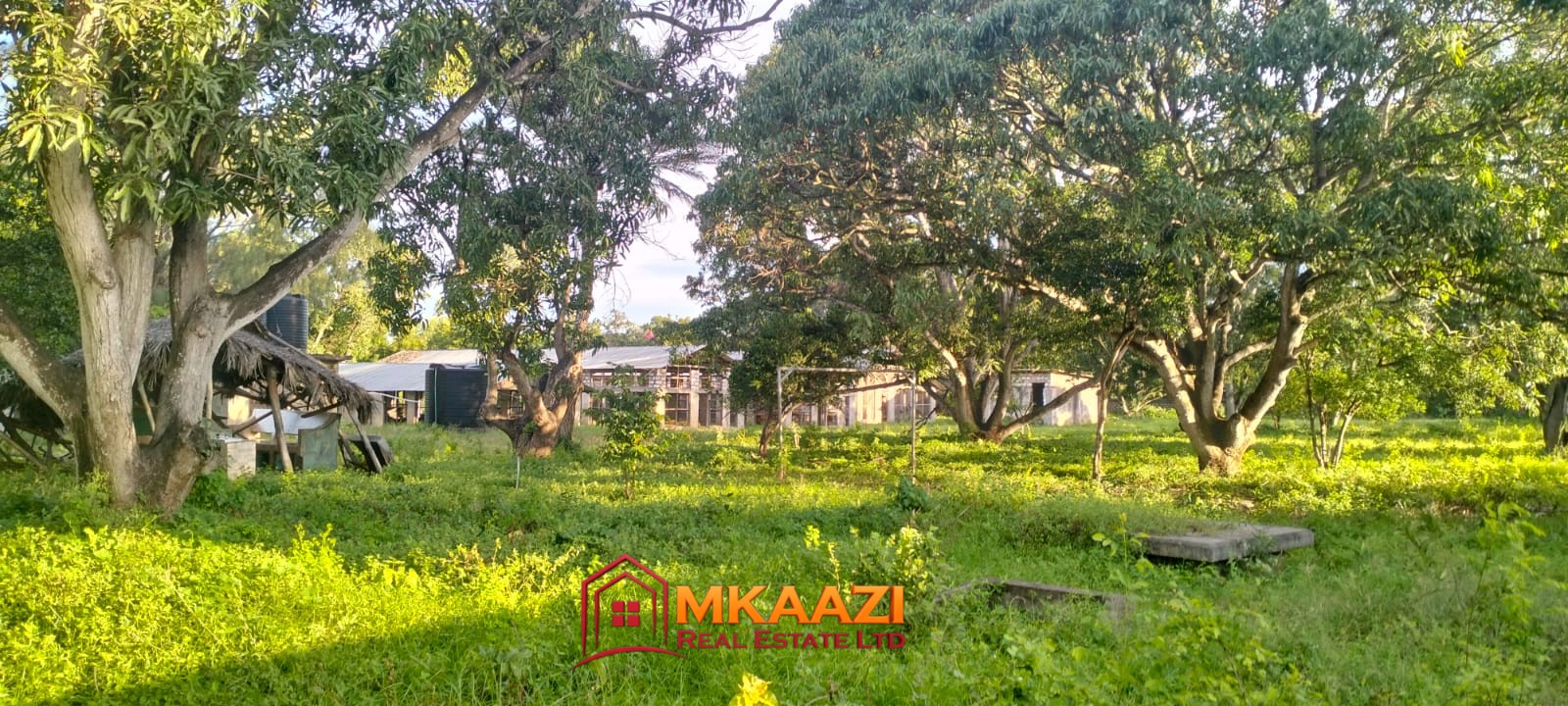 3-acre farm for sale on Malindi Road in Msabaha with chicken structures, farmhouse, four DSQs, borehole and tarmac frontage