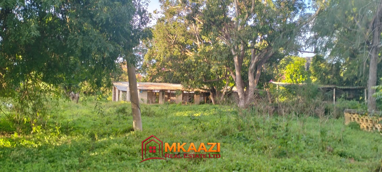 3-Acre Farm for Sale on Malindi Road, Msabaha – KES 30M | Freehold Title