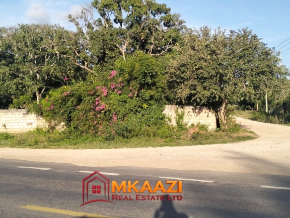 3-Acre Farm for Sale on Malindi Road, Msabaha – KES 30M | Freehold Title