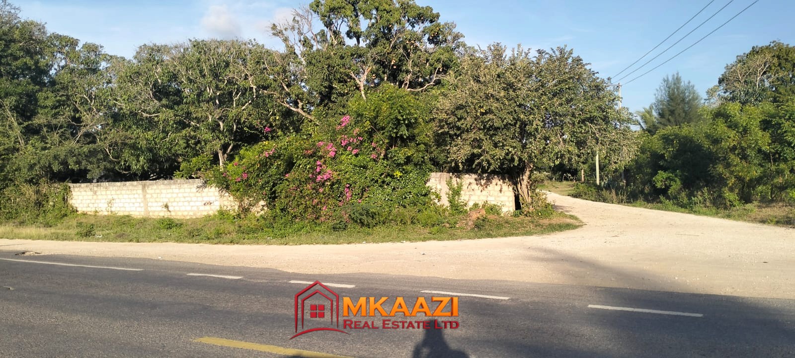 3-Acre Farm for Sale on Malindi Road, Msabaha – KES 30M | Freehold Title