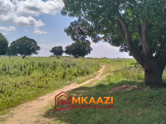 4-Acre Land for Sale in Muguruleni, Sabaki Ward, Magarini – KES 4M/Acre