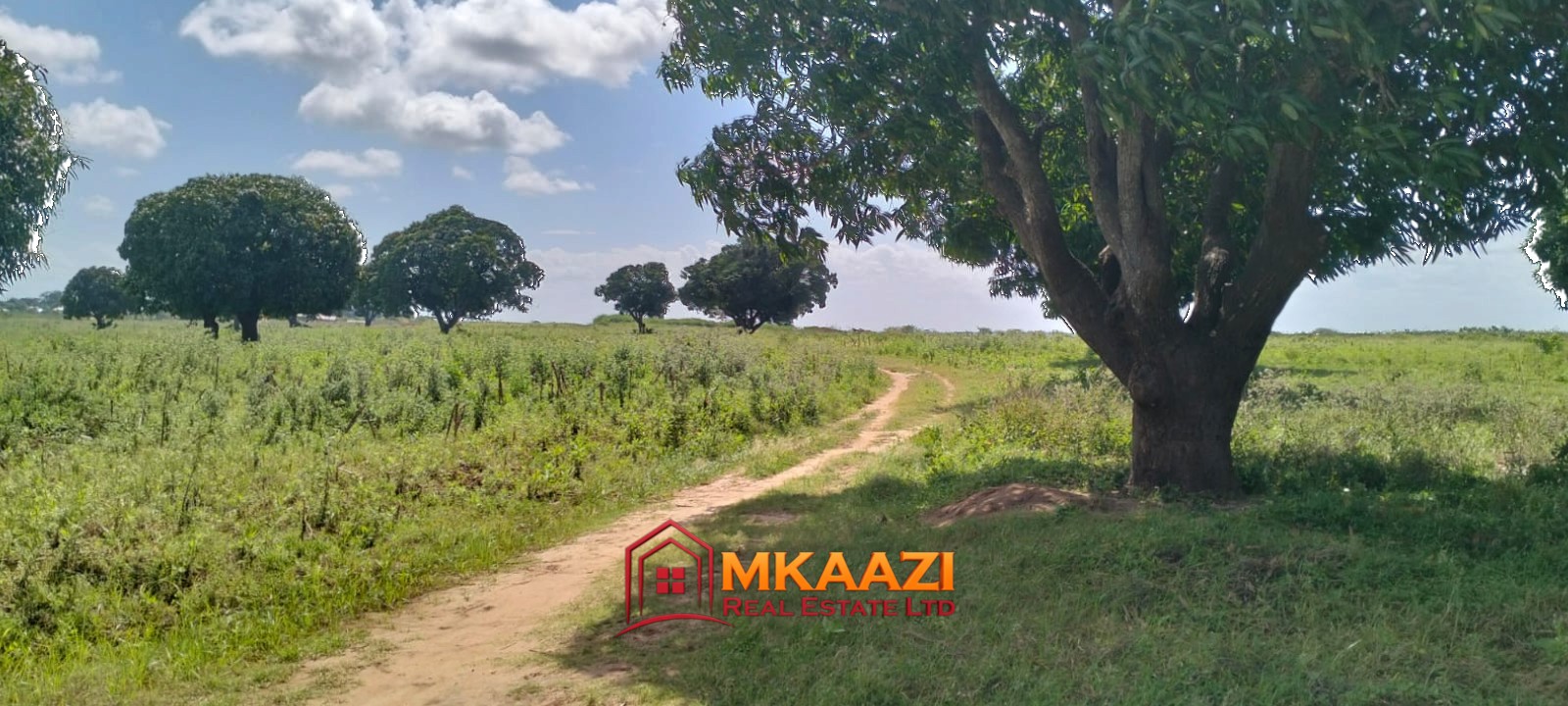 4 Acres (2) 4-Acre Land for Sale in Muguruleni, Sabaki Ward, Magarini – KES 4M/Acre