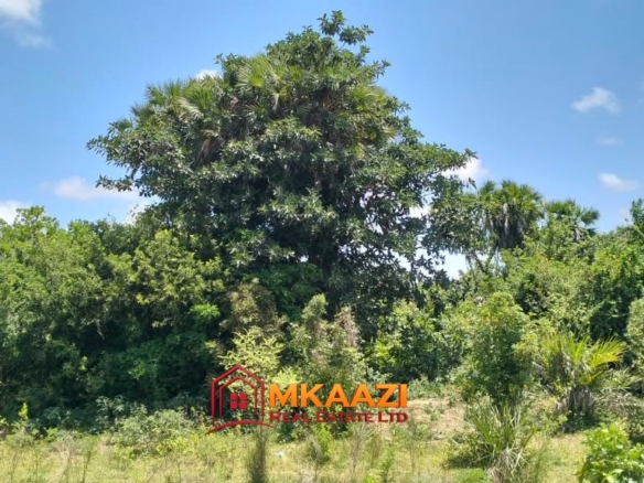 4 Acres of Land for Sale in Bora Imani, Hindi, Lamu County – KSh 24 Million