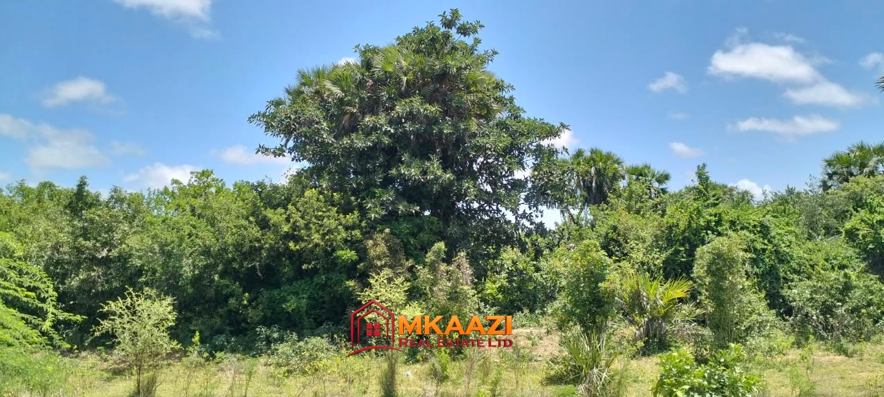 4 Acres of Land for Sale in Bora Imani, Hindi, Lamu County – KSh 24 Million