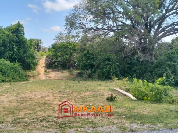 4-acres-for-sale-bora-imani-hindi-lamu