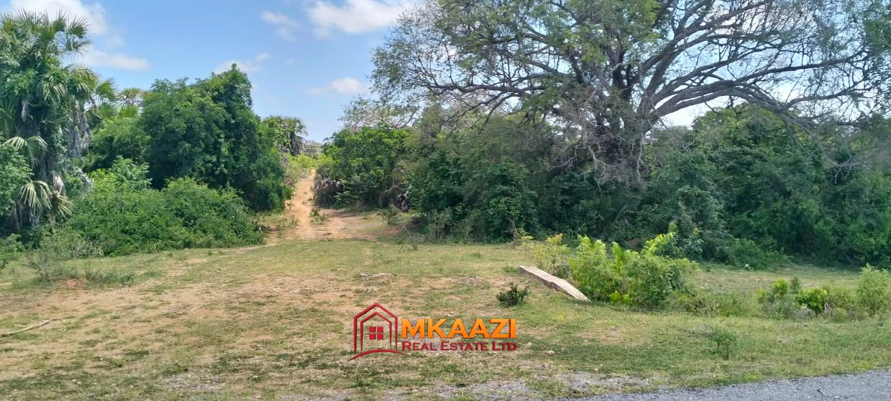4-acres-for-sale-bora-imani-hindi-lamu