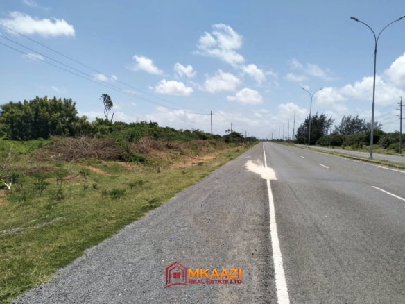 40 acres of land for sale in Bora Imani