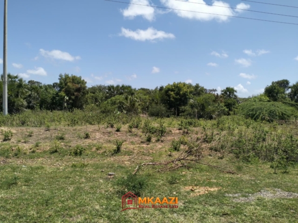 40 acres of land for sale in Bora Imani