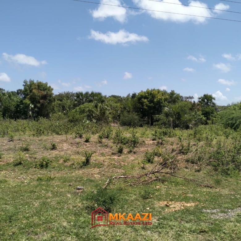 40 acres of land for sale in Bora Imani